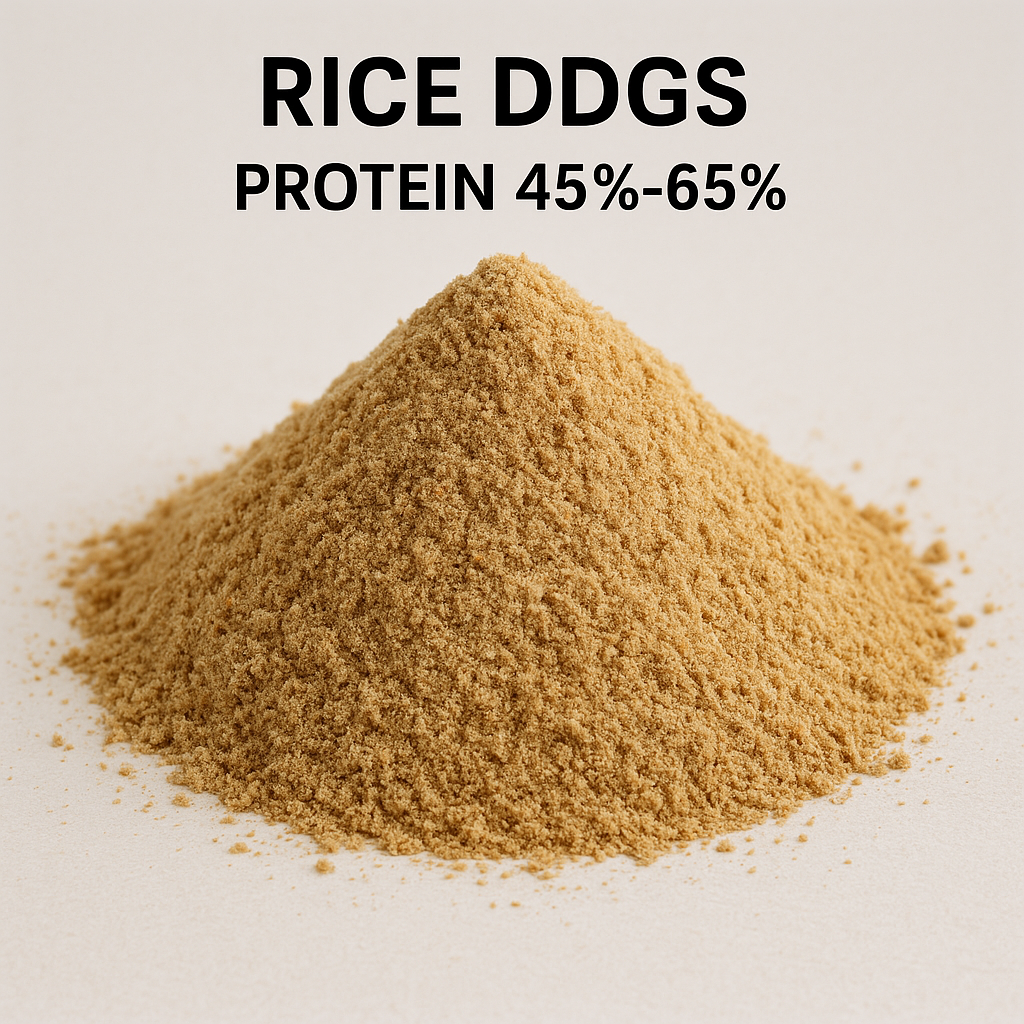 Rice DDGS